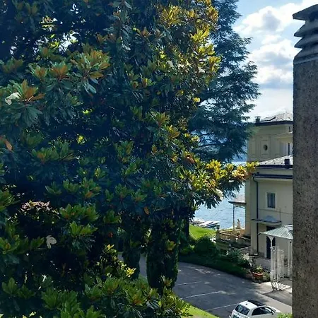 Magnolia In Cademartori