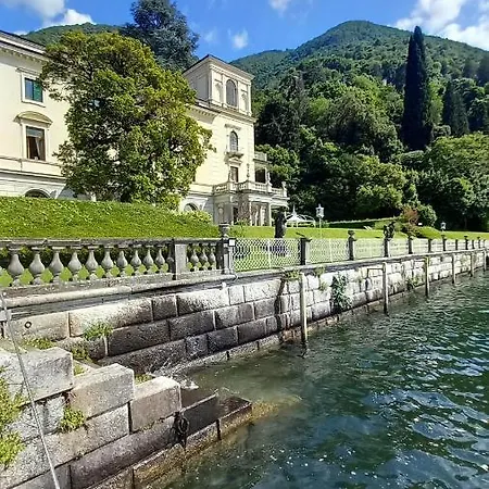 Magnolia In Cademartori *
