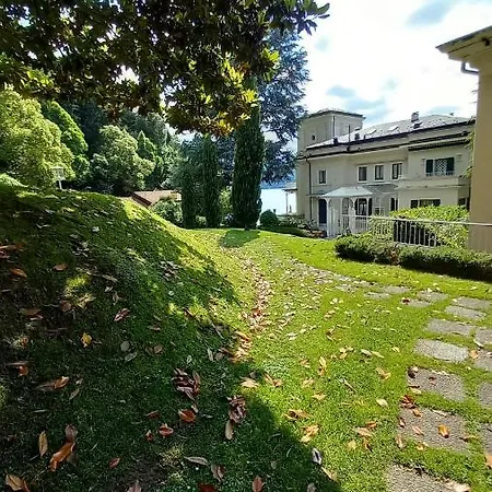 Magnolia In Cademartori *