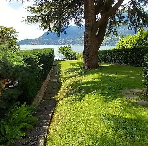 Magnolia In Cademartori *