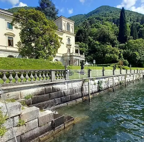 Magnolia In Cademartori *