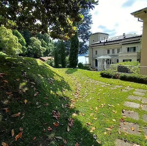 Magnolia In Cademartori *