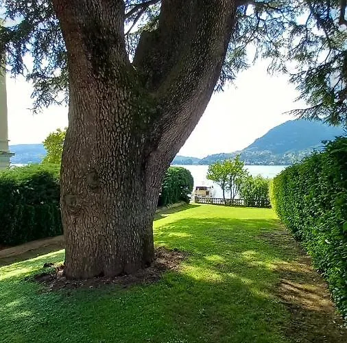 Magnolia In Cademartori