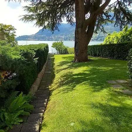 Magnolia In Cademartori *