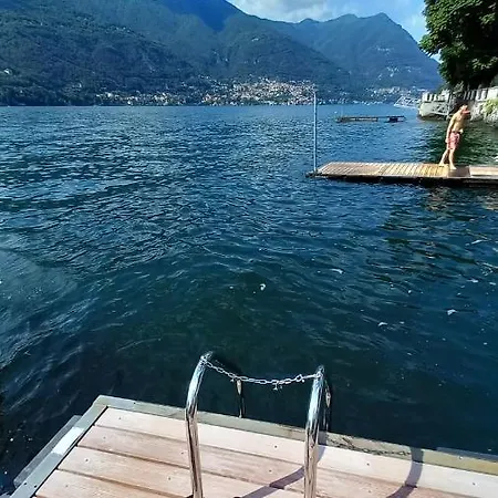 Magnolia In Cademartori