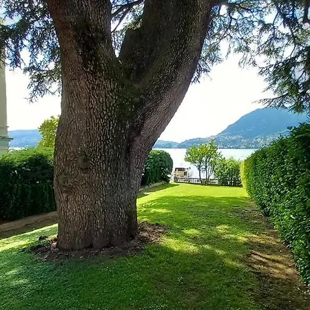 Magnolia In Cademartori