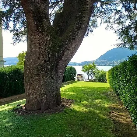 Magnolia In Cademartori