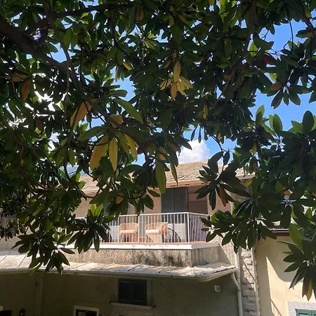 Apartment Magnolia In Cademartori *
